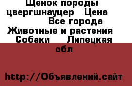 Щенок породы  цвергшнауцер › Цена ­ 30 000 - Все города Животные и растения » Собаки   . Липецкая обл.